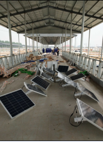 �M�ǾC���B(y��ng)ֳ�S����