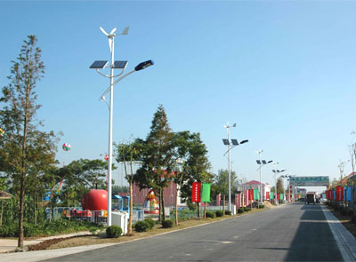 ����չʾ��