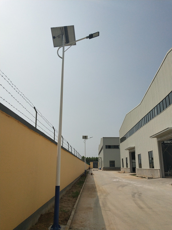 �ƽ���W�S�^(q��)����